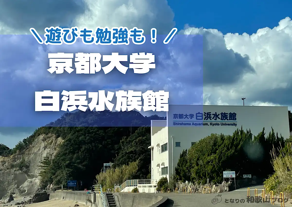 【南紀白浜】京都大学白浜水族館の紹介｜アクセス・料金｜和歌山観光