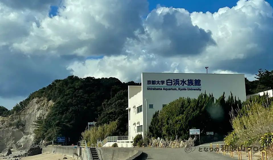 京都大学白浜水族館の水槽