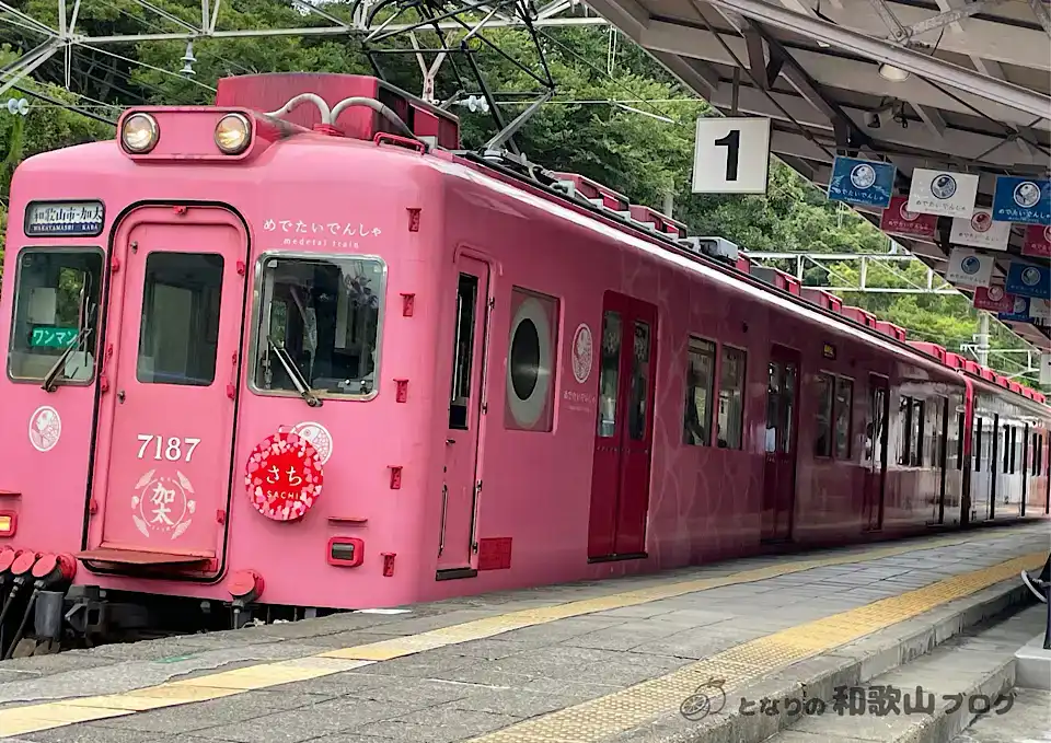 南海加太線めでたい電車「さち」