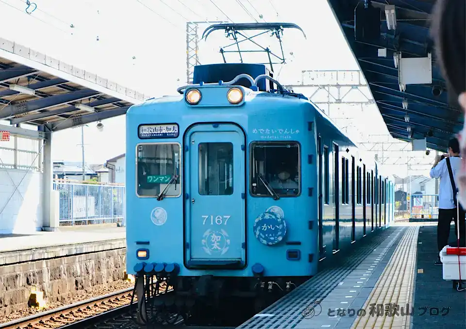 南海加太線めでたい電車「かい」