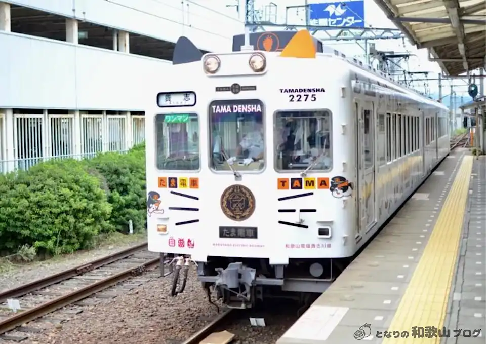たま電車