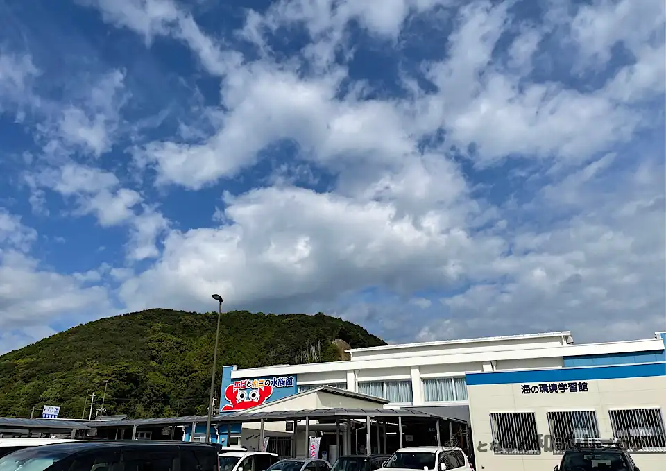 すさみエビとカニの水族館