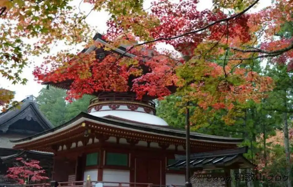高野山の紅葉