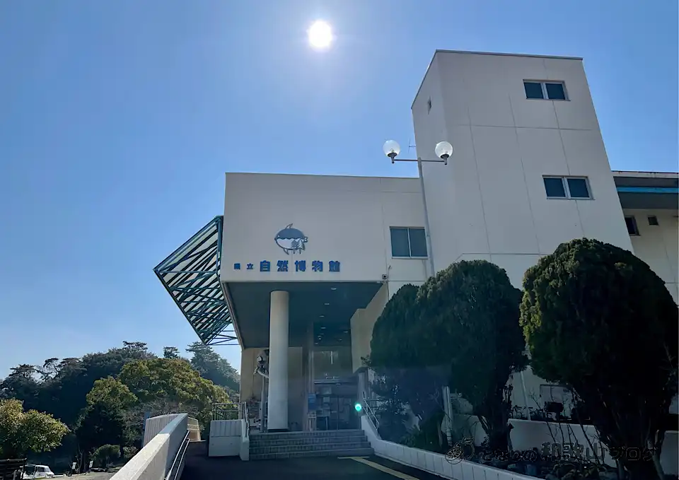 和歌山県立自然博物館