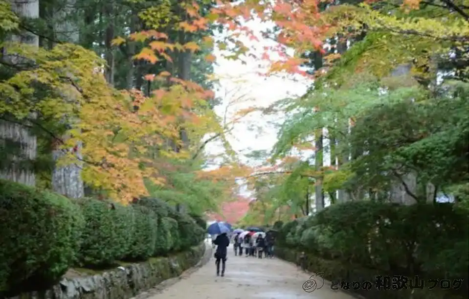 高野山の紅葉