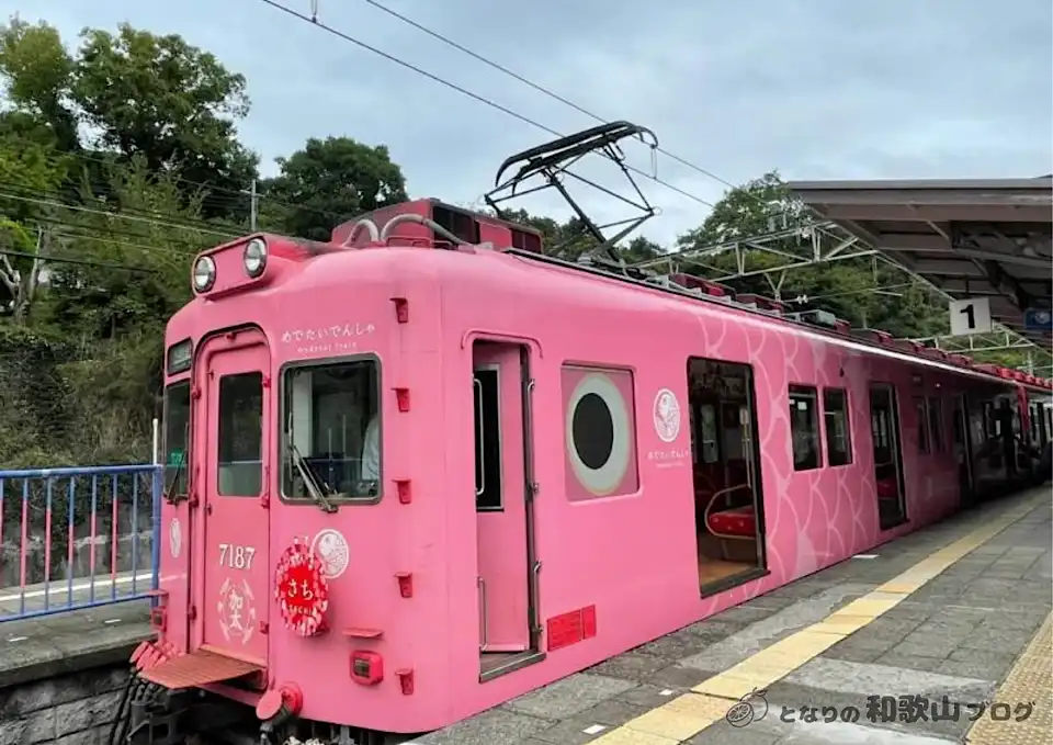 南海加太線めでたい電車「さち」