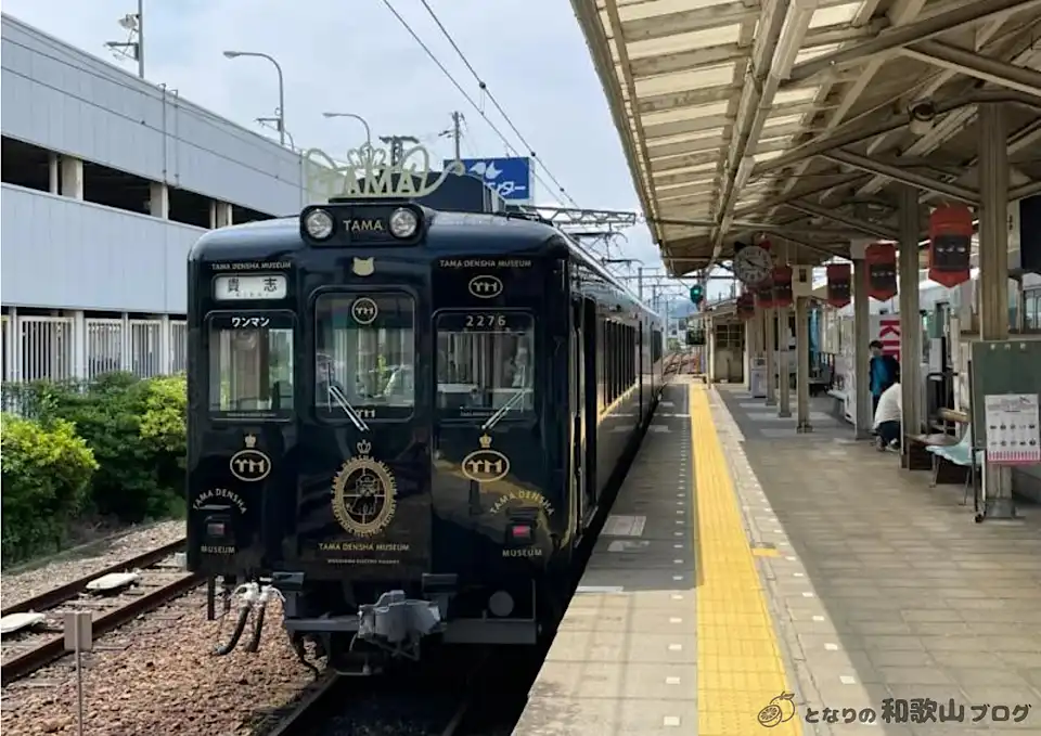 たま電車メモリアル号