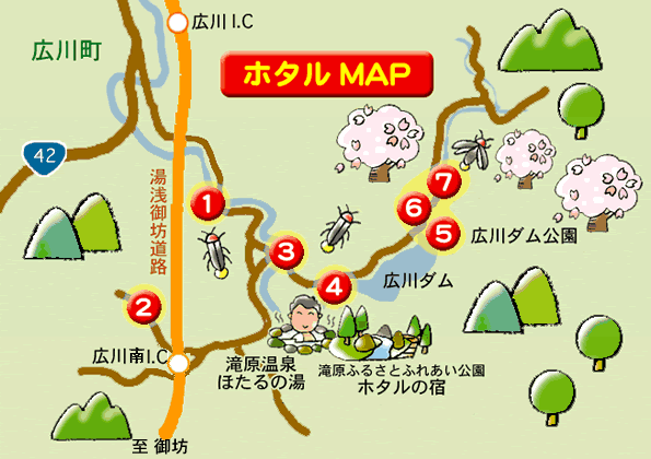 広川ダム周辺のホタル鑑賞におすすめのスポット