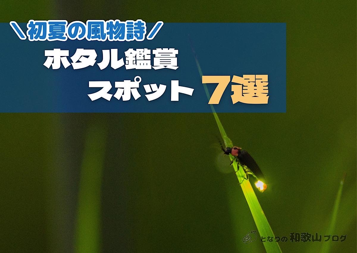 和歌山県内のホタル鑑賞スポットおすすめ7選