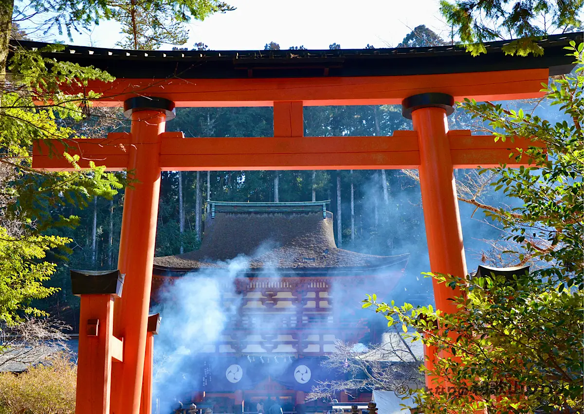 丹生都比売神社(ニウツヒメジンジャ)内鳥居から望む楼門|となりの和歌山ブログ