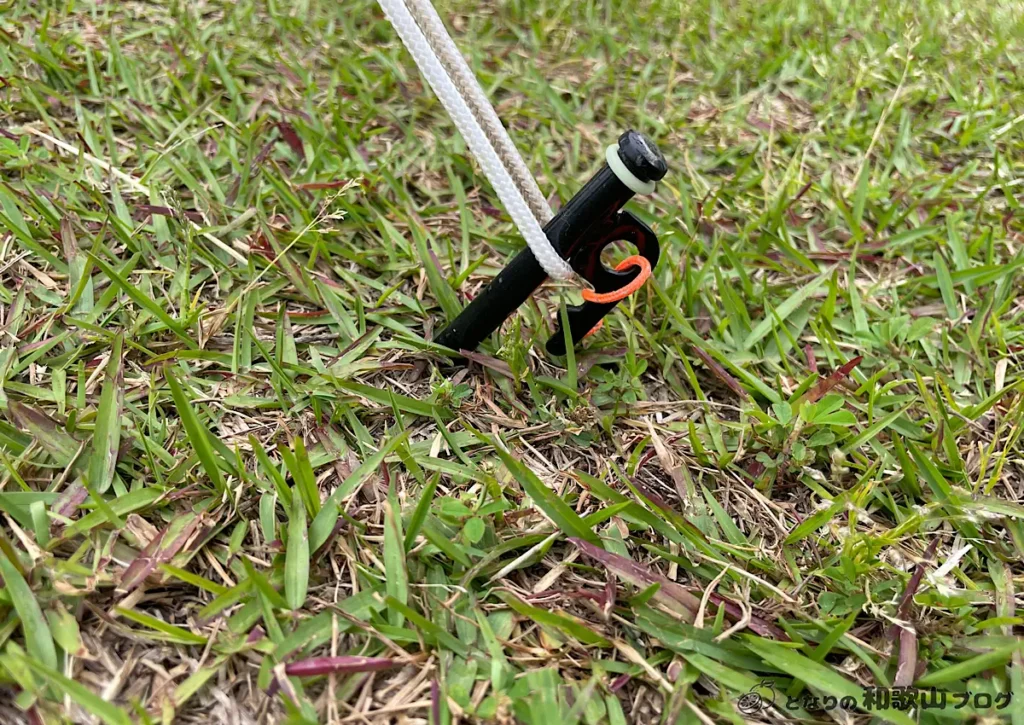 地面は芝生ですが、少し硬め