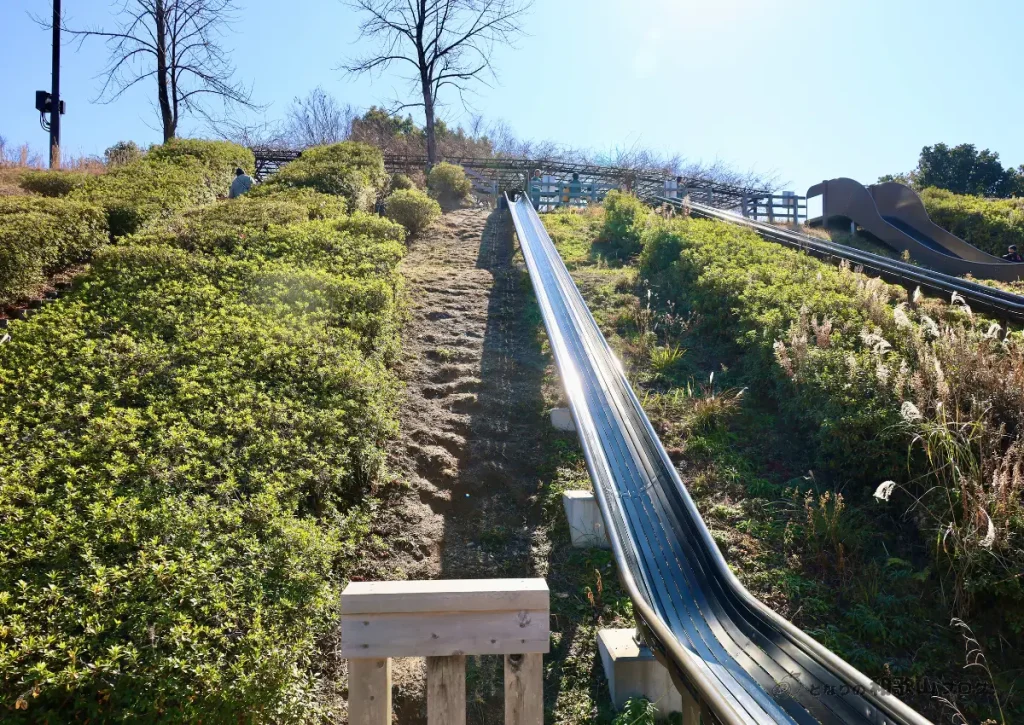 四季の郷公園「花のすべり台」