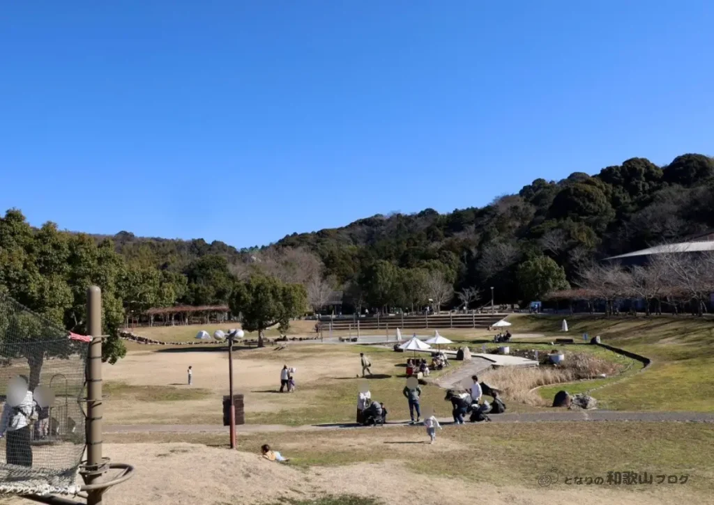 四季の郷公園「四季の広場」