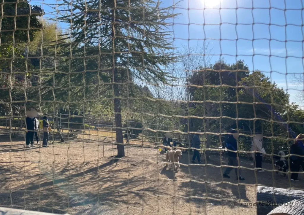 「四季の郷公園ドッグパーク」中・大型犬向けのドッグラン