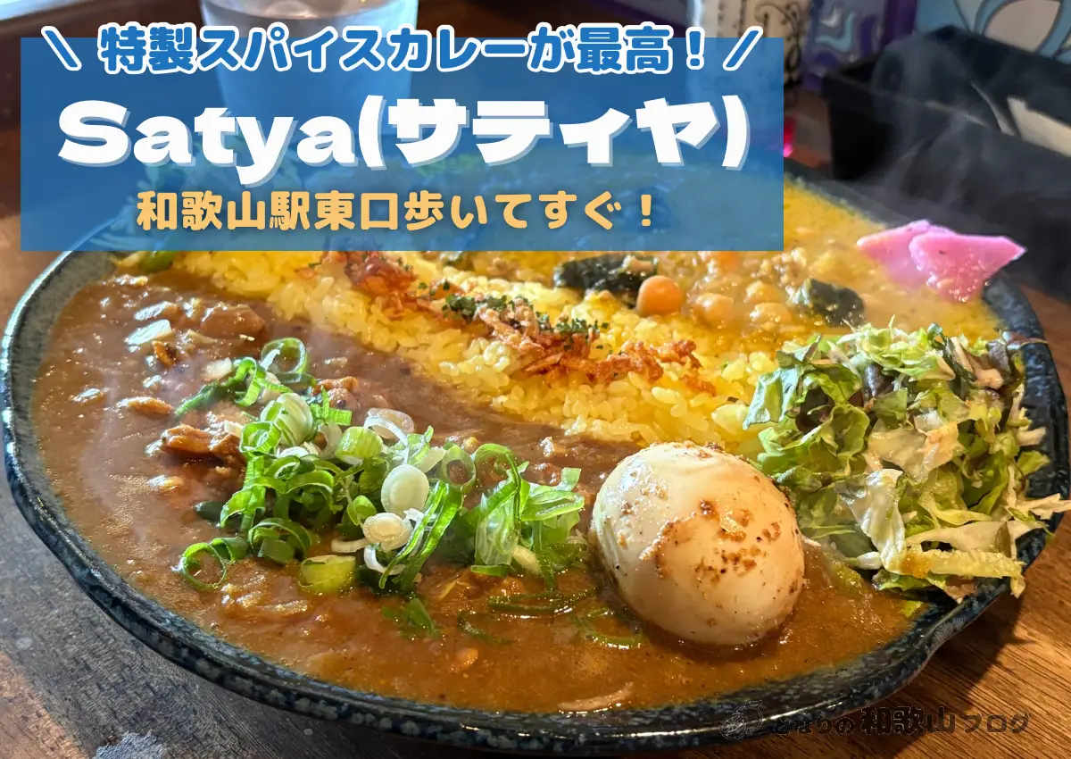 Satya(サティヤ)|和歌山駅東口すぐの絶品スパイスカレー