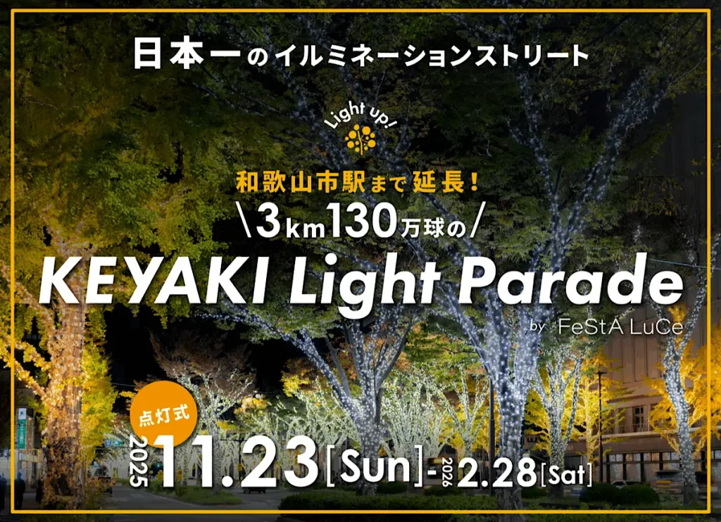 和歌山けやき大通りイルミネーション|keyaki light parade