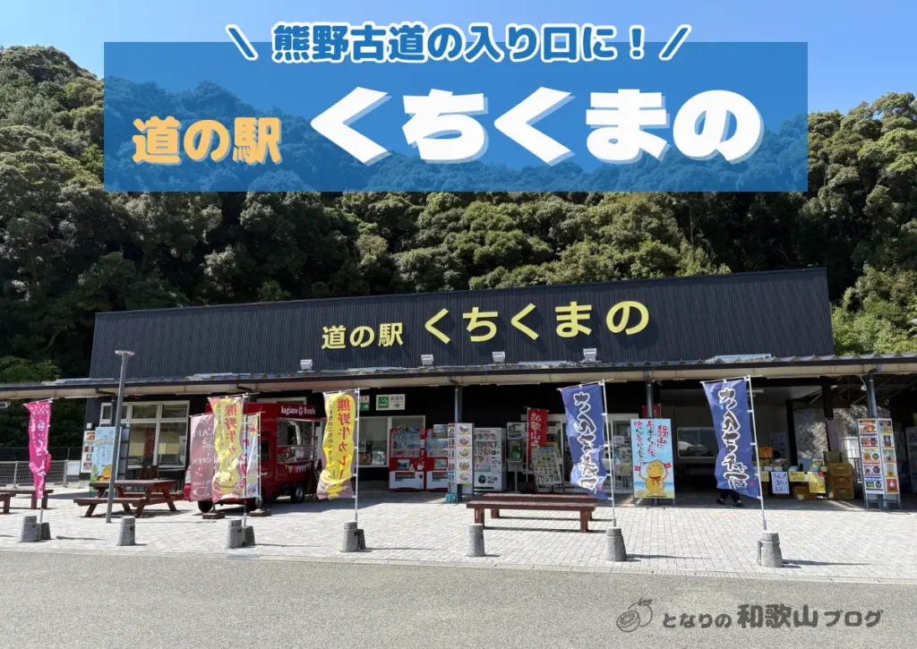 道の駅くちくまの｜レストラン感想と行き方（紀勢道・一般道から）