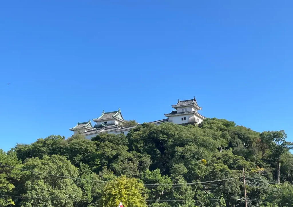 岡山の山頂に建つ和歌山城
