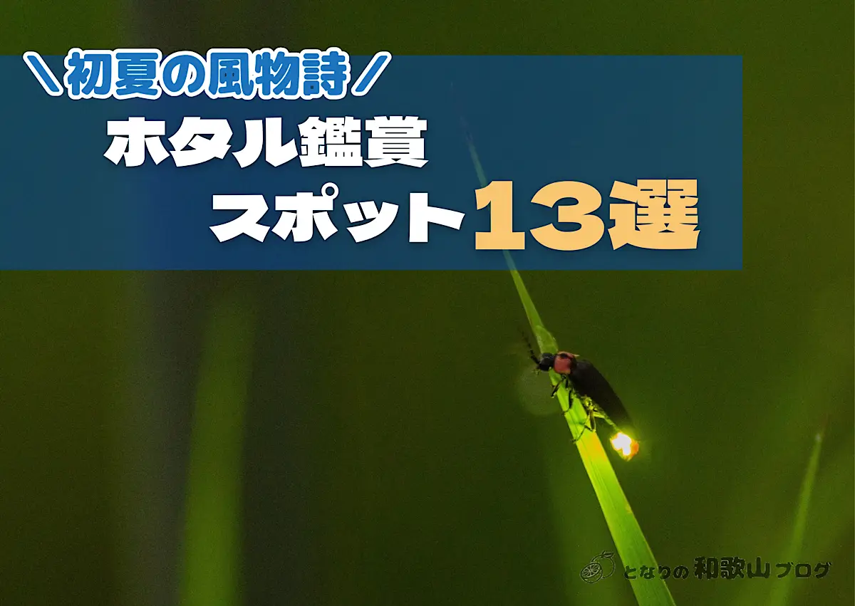和歌山のホタル鑑賞おすすめスポット13選